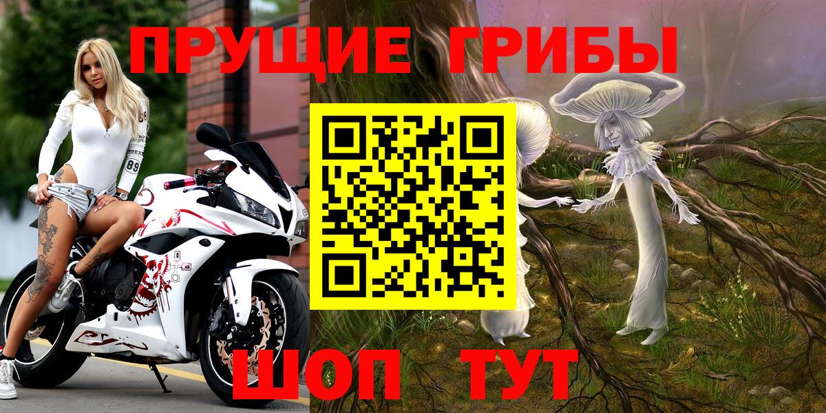 Псилоцибиновые грибы Psilocybine cubensis Нягань